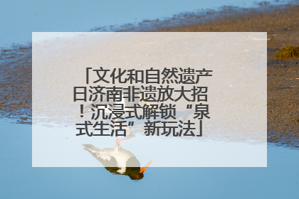 文化和自然遗产日济南非遗放大招！沉浸式解锁“泉式生活”新玩法