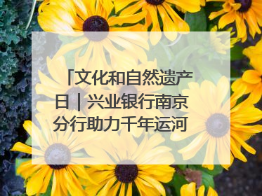 文化和自然遗产日｜兴业银行南京分行助力千年运河焕新出彩