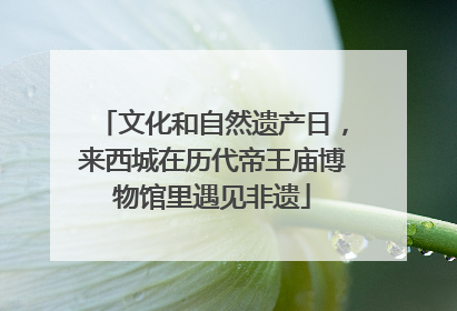 文化和自然遗产日，来西城在历代帝王庙博物馆里遇见非遗