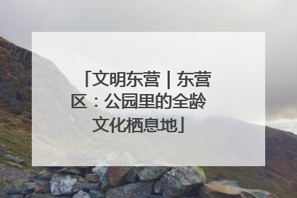 文明东营｜东营区：公园里的全龄文化栖息地