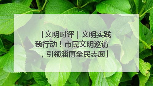 文明时评｜文明实践我行动！市民文明巡访，引领淄博全民志愿