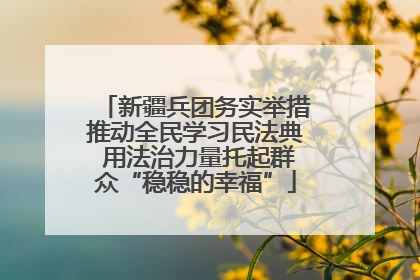 新疆兵团务实举措推动全民学习民法典 用法治力量托起群众“稳稳的幸福”