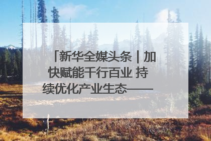 新华全媒头条｜加快赋能千行百业 持续优化产业生态——浙江推动人工智能健康有序发展观察