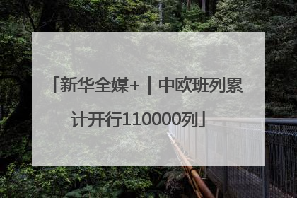 新华全媒+｜中欧班列累计开行110000列