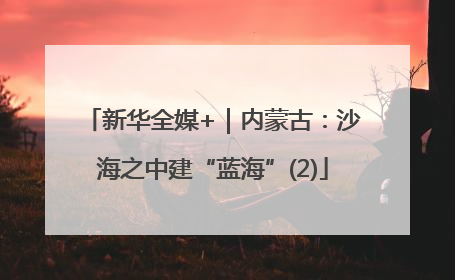 新华全媒+｜内蒙古：沙海之中建“蓝海”(2)