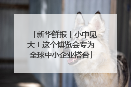 新华鲜报丨小中见大！这个博览会专为全球中小企业搭台