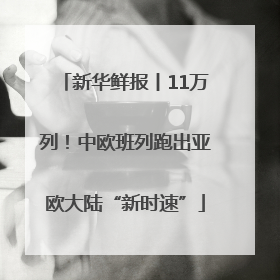 新华鲜报丨11万列！中欧班列跑出亚欧大陆“新时速”
