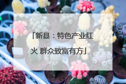 新县：特色产业红火 群众致富有方