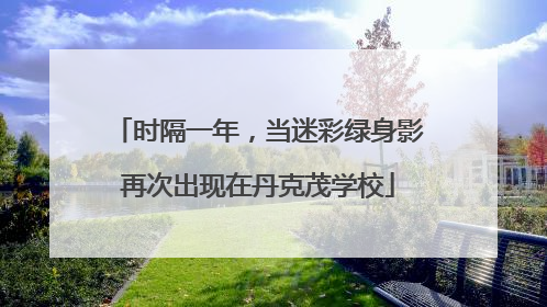 时隔一年，当迷彩绿身影再次出现在丹克茂学校