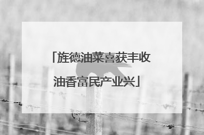 旌德油菜喜获丰收 油香富民产业兴