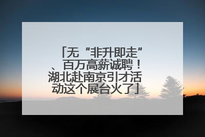 无“非升即走”、百万高薪诚聘！湖北赴南京引才活动这个展台火了