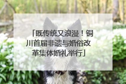 既传统又浪漫！铜川首届非遗与婚俗改革集体婚礼举行