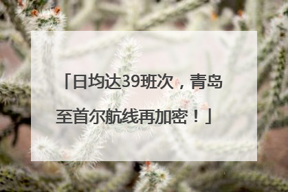 日均达39班次，青岛至首尔航线再加密！