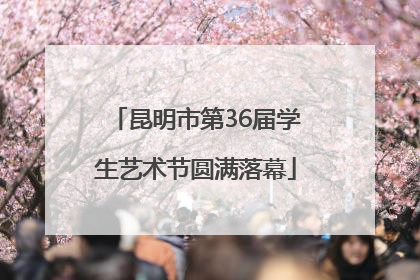 昆明市第36届学生艺术节圆满落幕