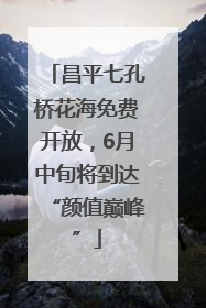 昌平七孔桥花海免费开放，6月中旬将到达“颜值巅峰”