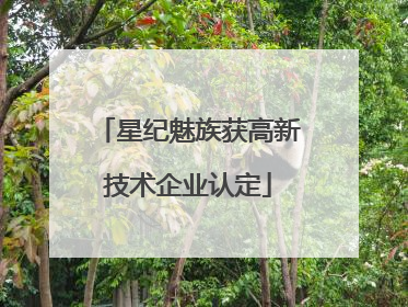 星纪魅族获高新技术企业认定