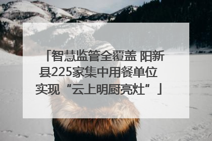 智慧监管全覆盖 阳新县225家集中用餐单位实现“云上明厨亮灶”