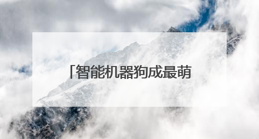 智能机器狗成最萌领跑员，平阳红色越野跑今日开赛