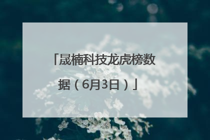 晟楠科技龙虎榜数据（6月3日）