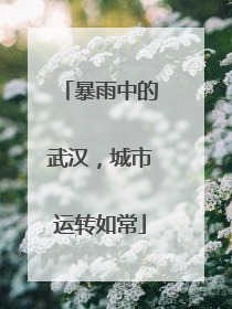 暴雨中的武汉，城市运转如常