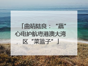 曲靖陆良：“蔬”心电护航粤港澳大湾区“菜篮子”