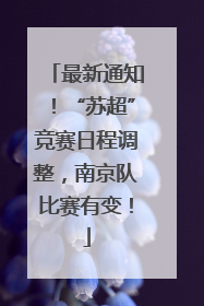 最新通知！“苏超”竞赛日程调整，南京队比赛有变！