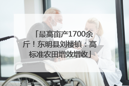 最高亩产1700余斤！东明县刘楼镇：高标准农田增效增收