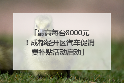 最高每台8000元！成都经开区汽车促消费补贴活动启动