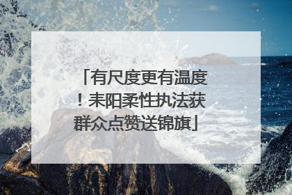 有尺度更有温度！耒阳柔性执法获群众点赞送锦旗
