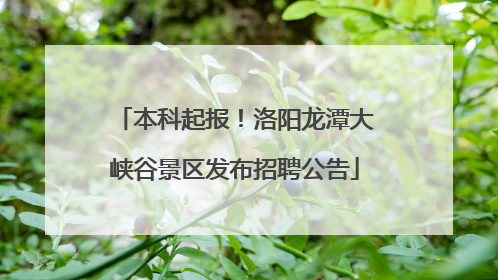 本科起报！洛阳龙潭大峡谷景区发布招聘公告