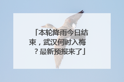 本轮降雨今日结束，武汉何时入梅？最新预报来了