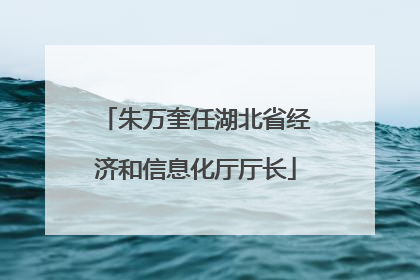 朱万奎任湖北省经济和信息化厅厅长