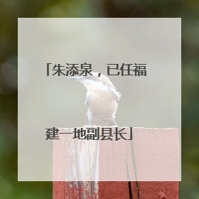 朱添泉，已任福建一地副县长