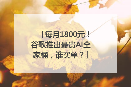 每月1800元！谷歌推出最贵AI全家桶，谁买单？