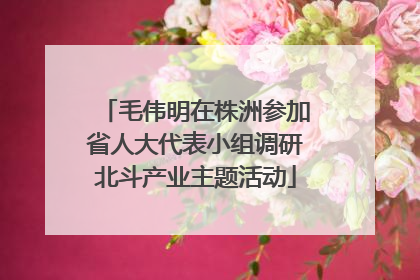 毛伟明在株洲参加省人大代表小组调研北斗产业主题活动