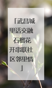 武昌城里话交融 石榴花开串联社区邻里情