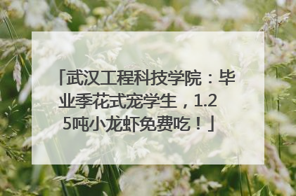 武汉工程科技学院：毕业季花式宠学生，1.25吨小龙虾免费吃！