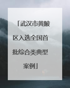 武汉市黄陂区入选全国首批综合类典型案例