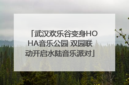 武汉欢乐谷变身HOHA音乐公园 双园联动开启水陆音乐派对