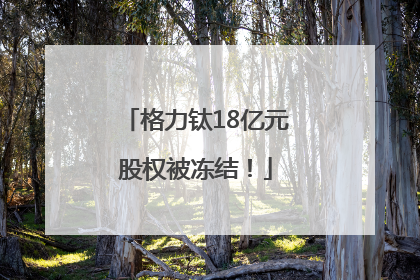 格力钛18亿元股权被冻结！