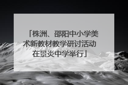 株洲、邵阳中小学美术新教材教学研讨活动在景炎中学举行