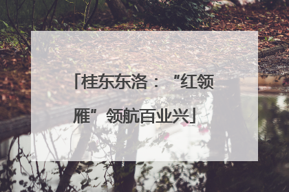 桂东东洛：“红领雁”领航百业兴