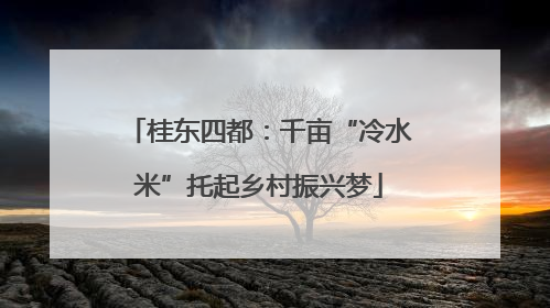 桂东四都：千亩“冷水米”托起乡村振兴梦