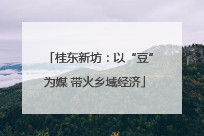桂东新坊：以“豆”为媒 带火乡域经济
