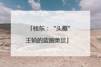 桂东：“头雁”王镇的蓝图美景