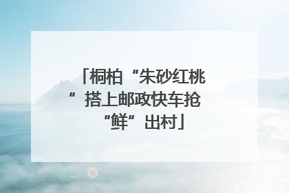 桐柏“朱砂红桃”搭上邮政快车抢“鲜”出村