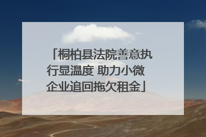 桐柏县法院善意执行显温度 助力小微企业追回拖欠租金