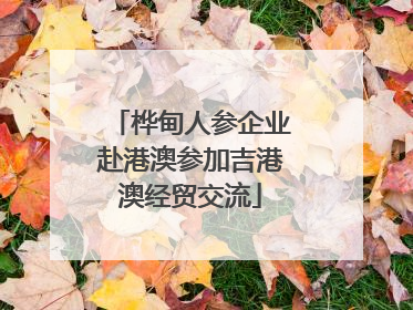 桦甸人参企业赴港澳参加吉港澳经贸交流