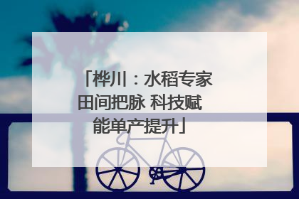 桦川：水稻专家田间把脉 科技赋能单产提升