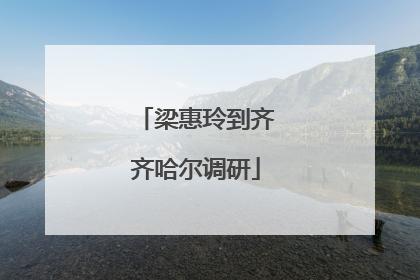 梁惠玲到齐齐哈尔调研